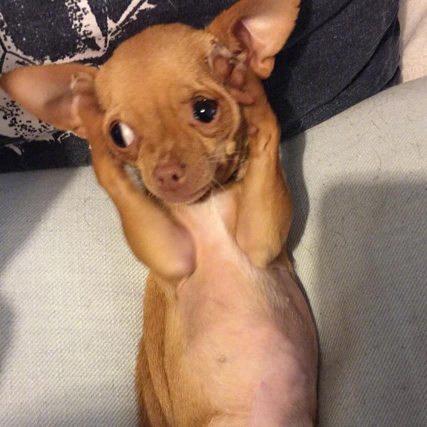 我只是个小朋友