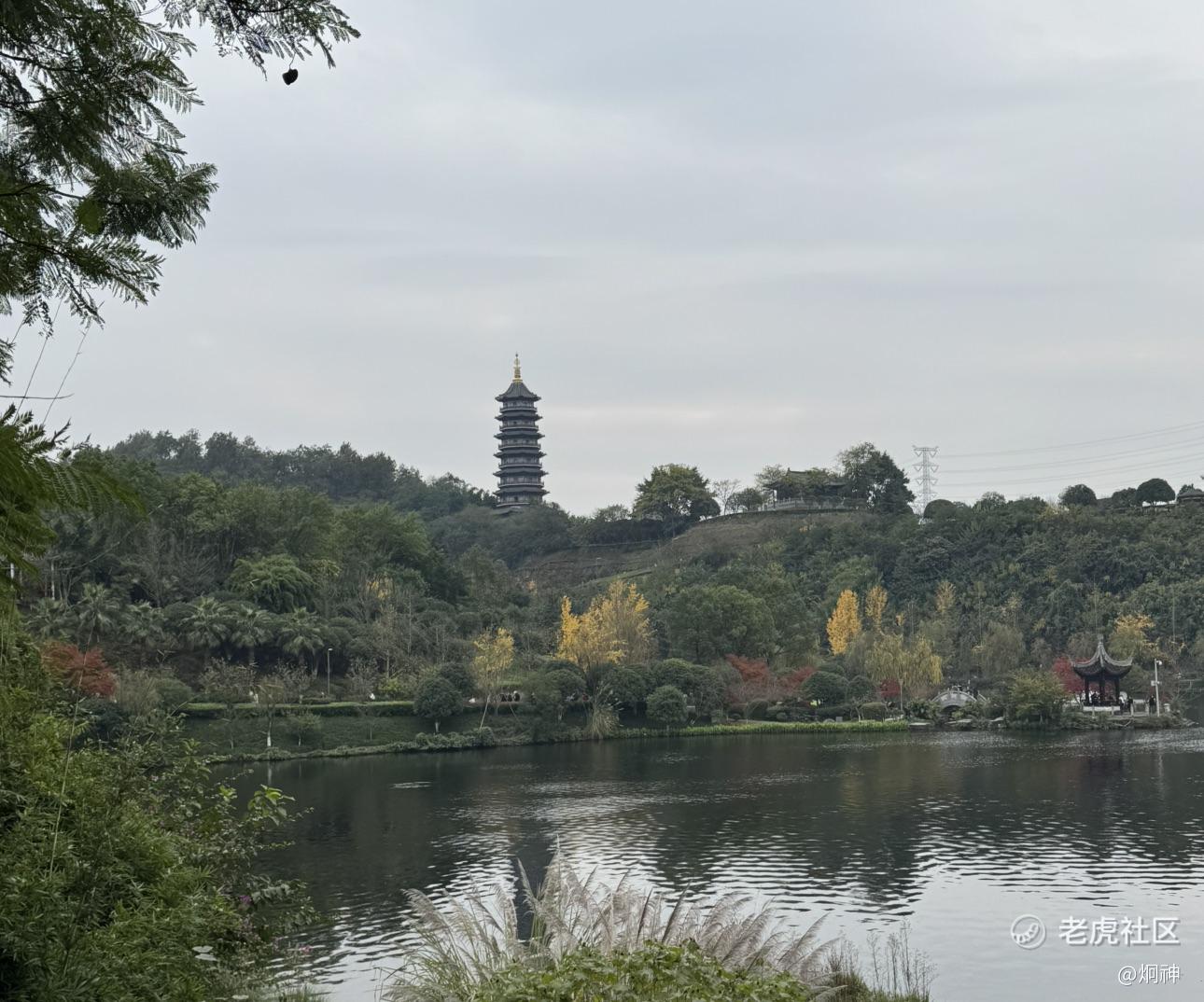 炯神
