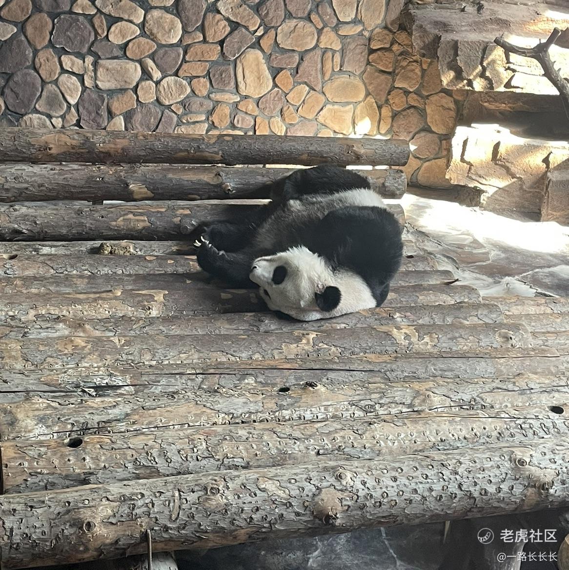 旗保