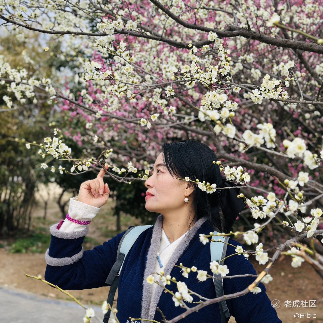 白七七
