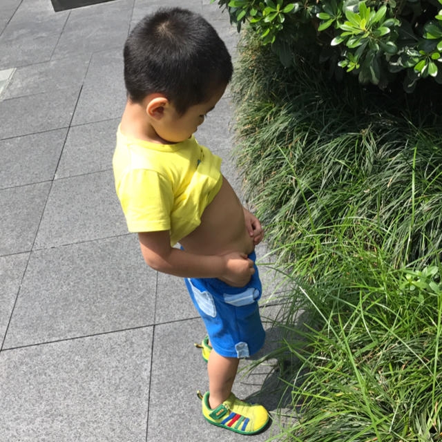 宁不烦
