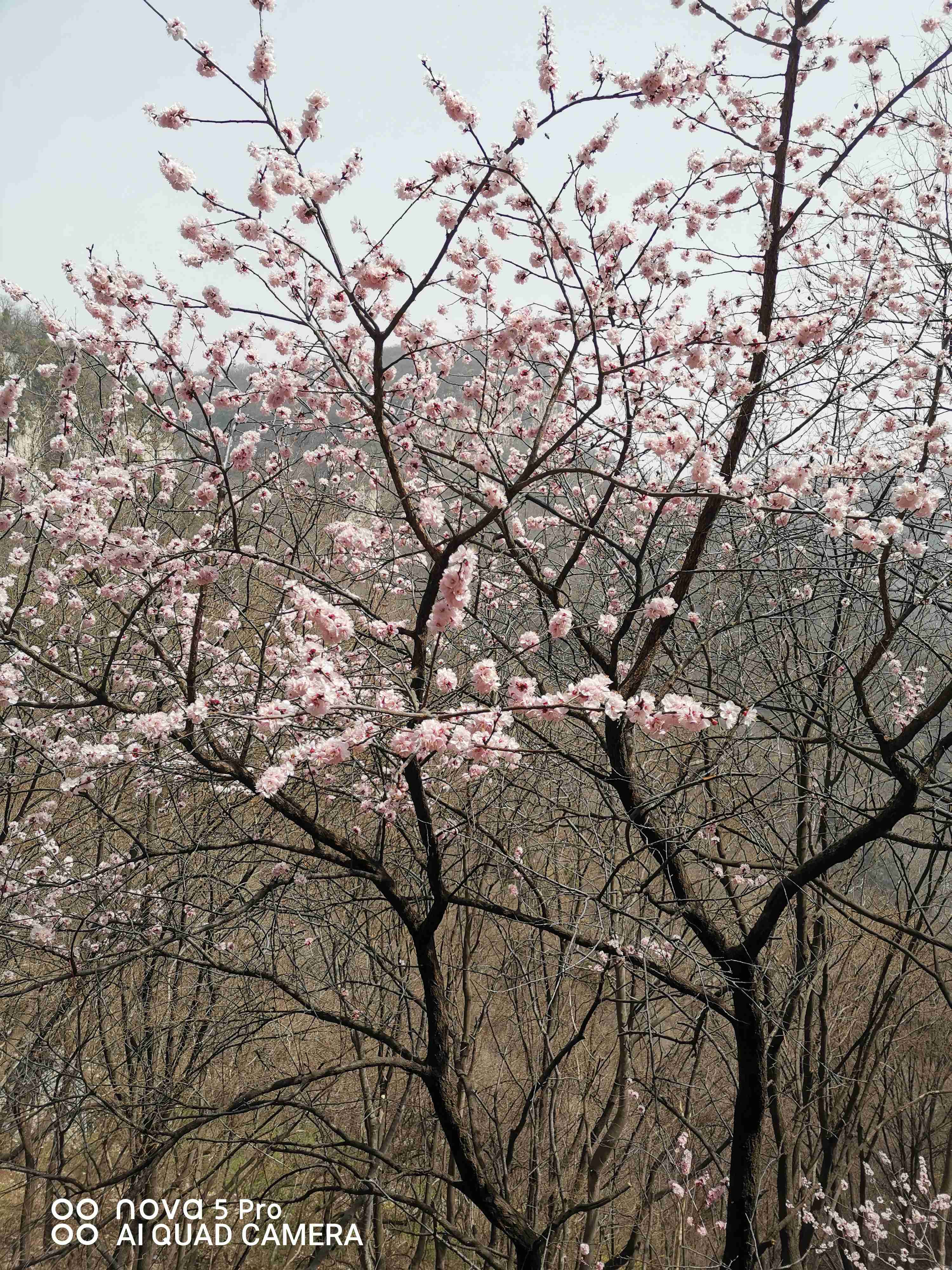 新晋股神