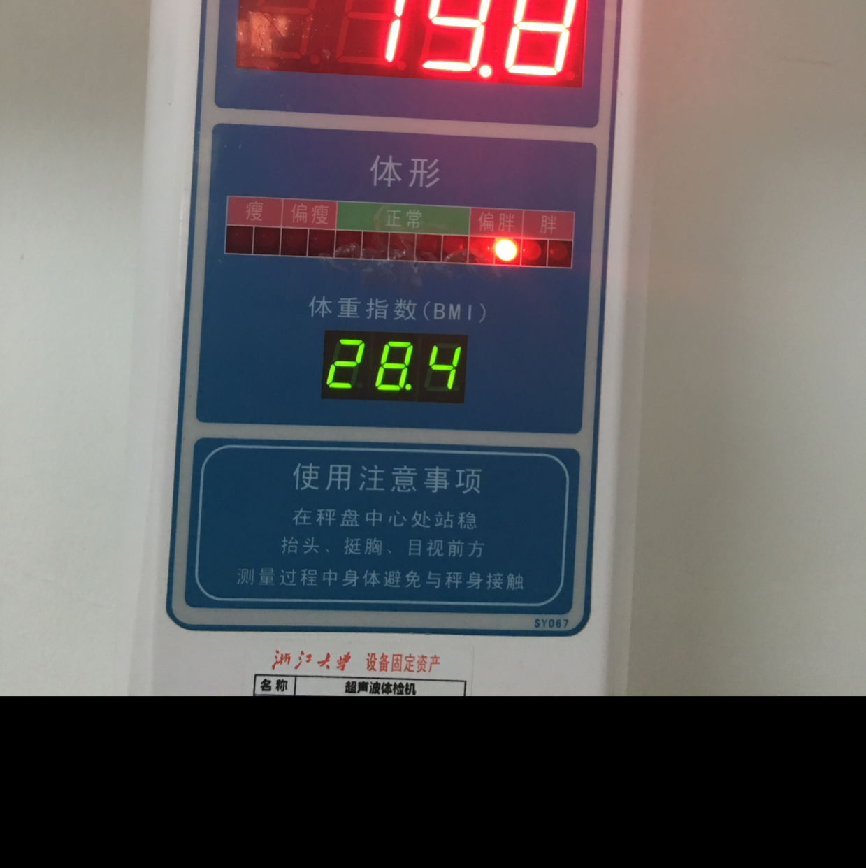 小青菜