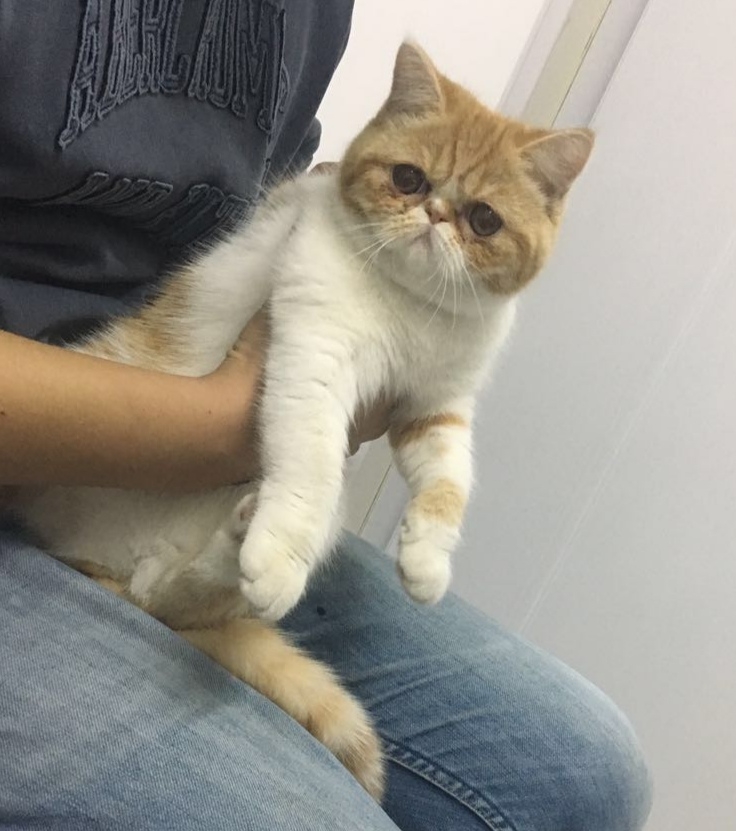 村里最富的人