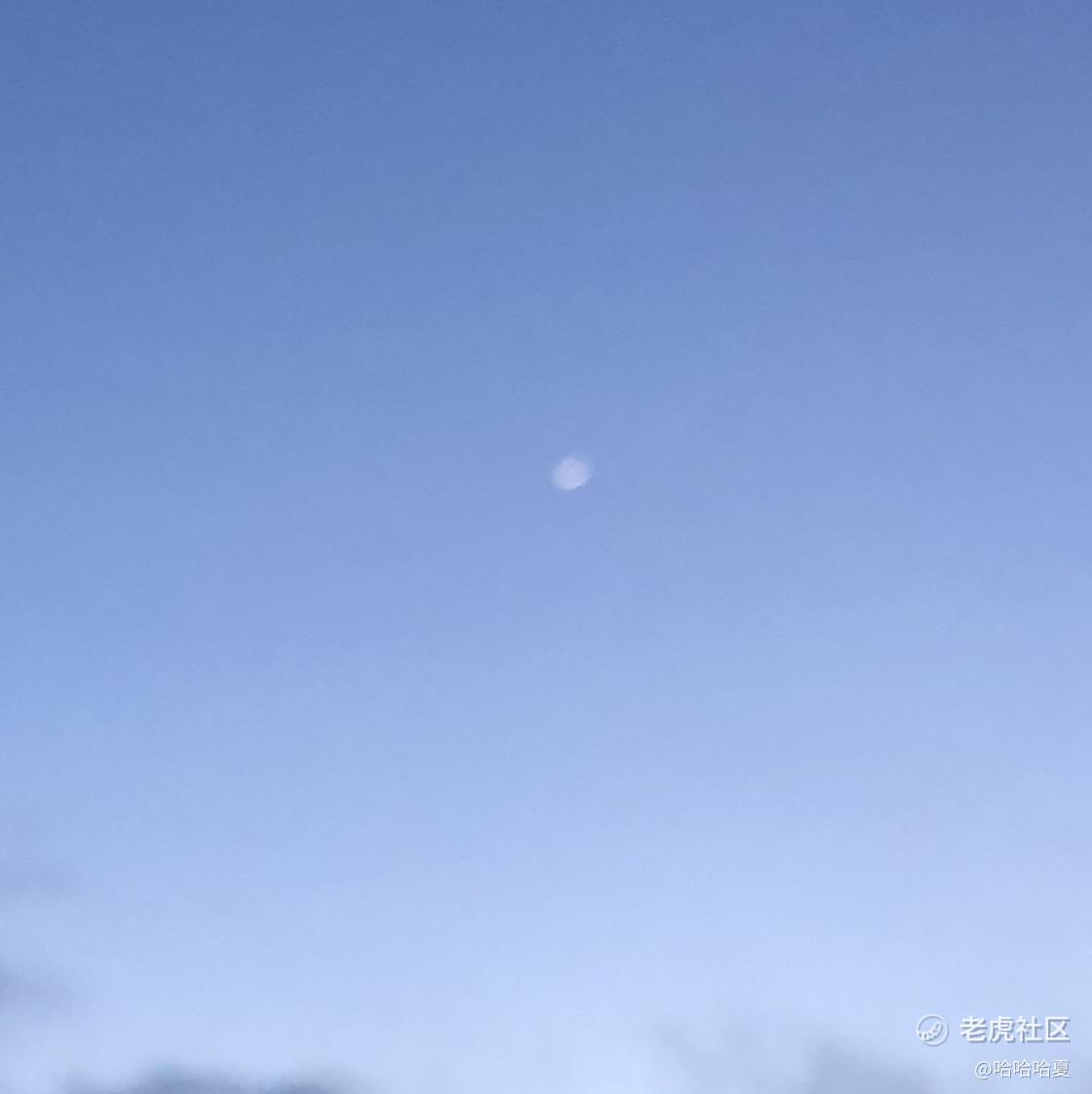哈哈哈夏