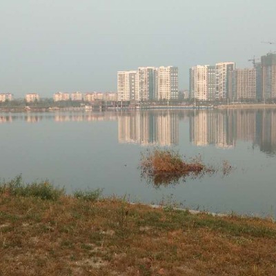 程丽雅