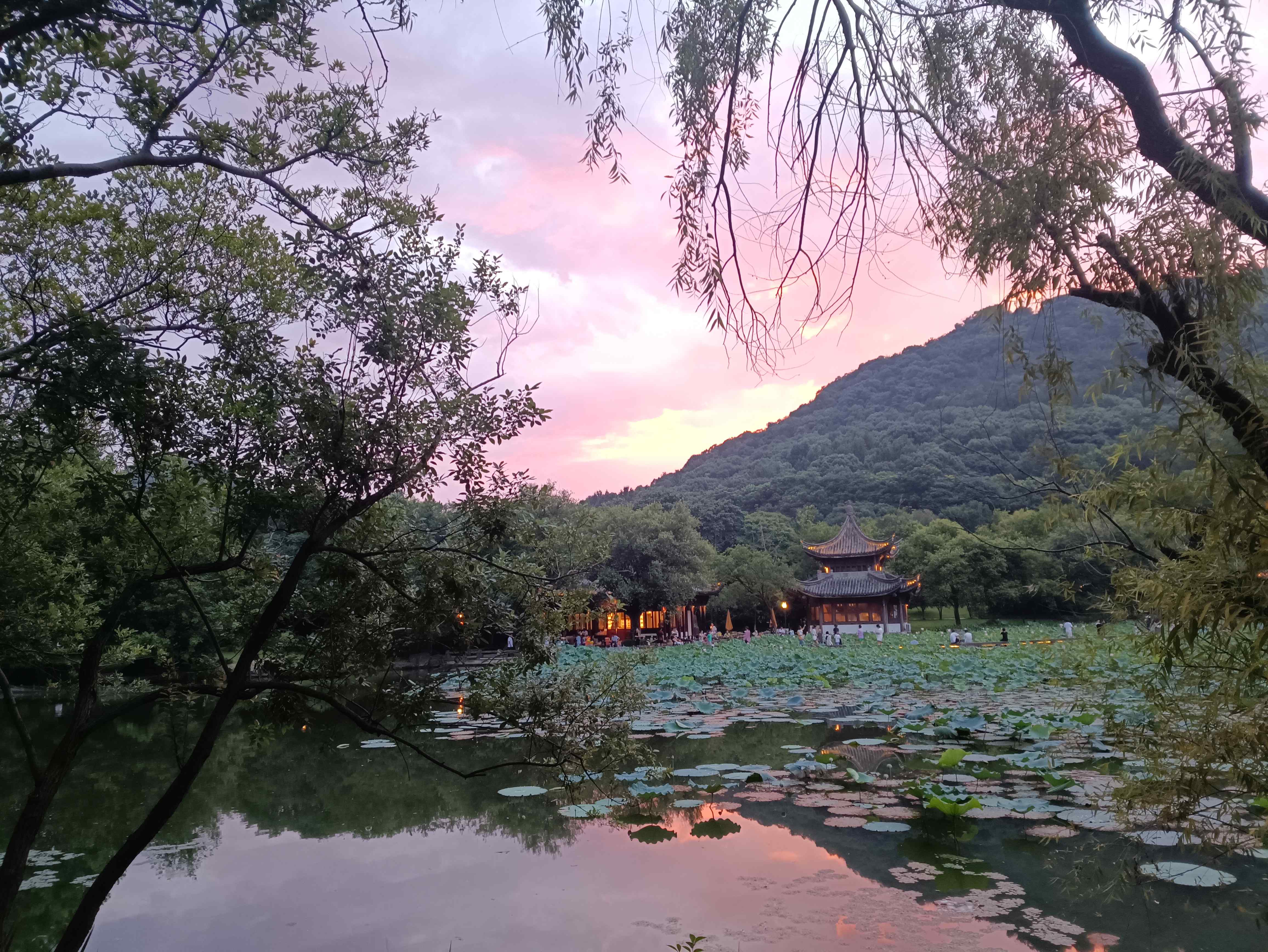 阿虎爱炒股