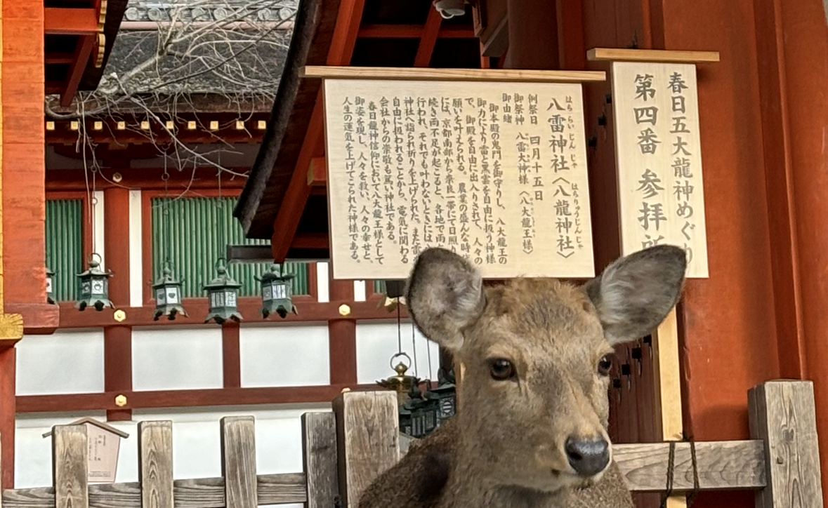 筑星