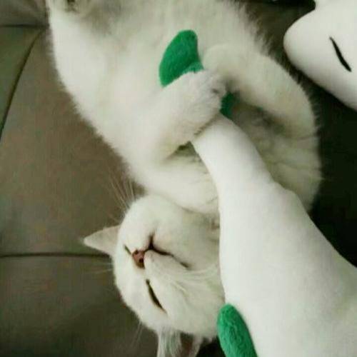 咪爸咪媽