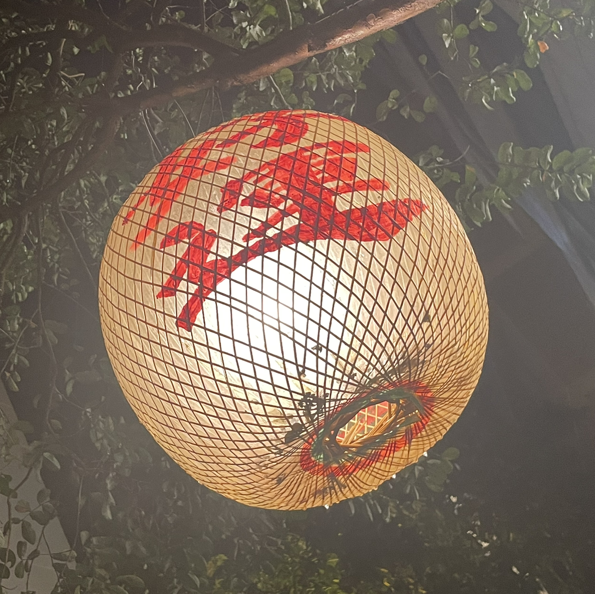 幸运之鹿