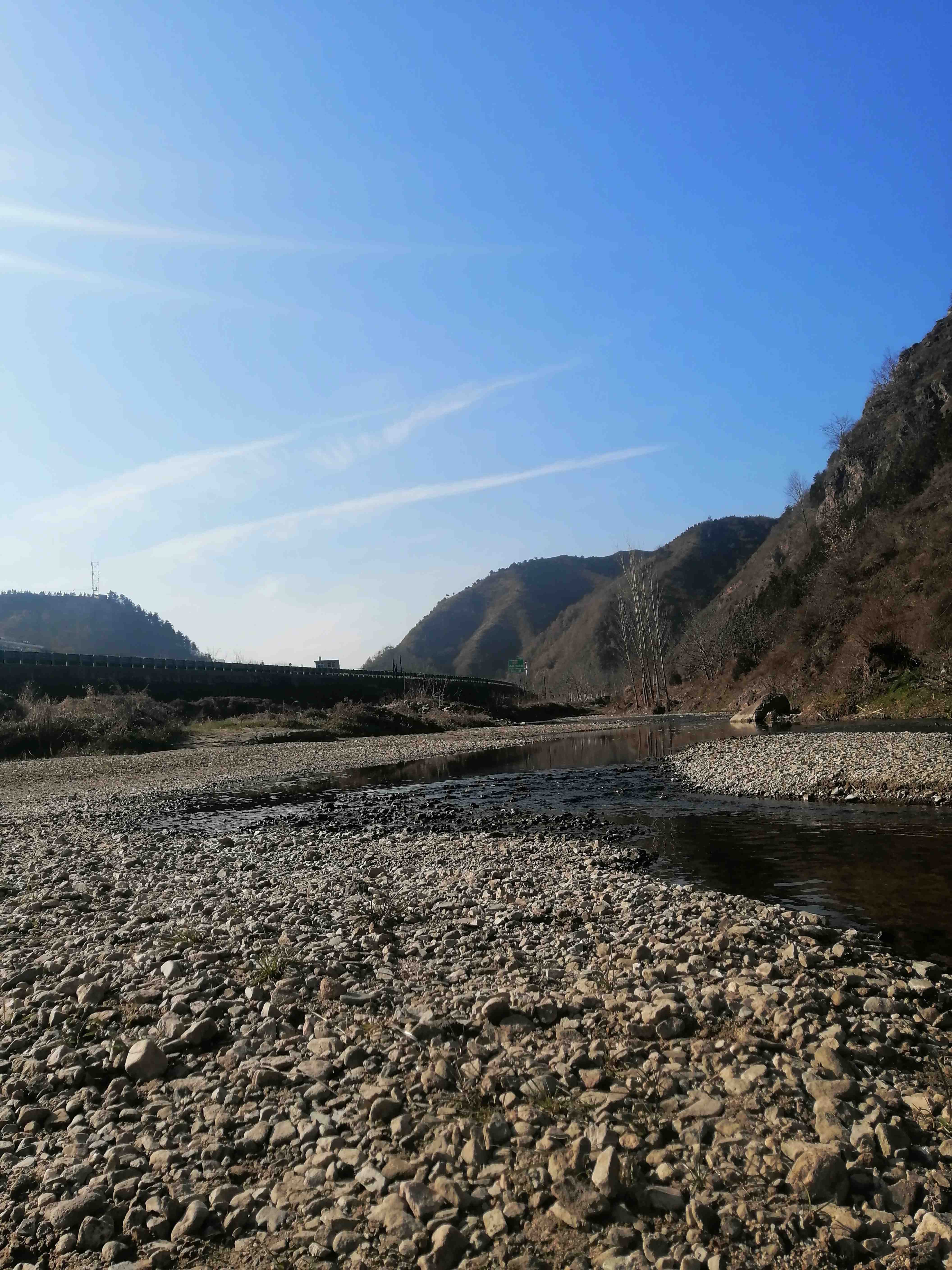 达野