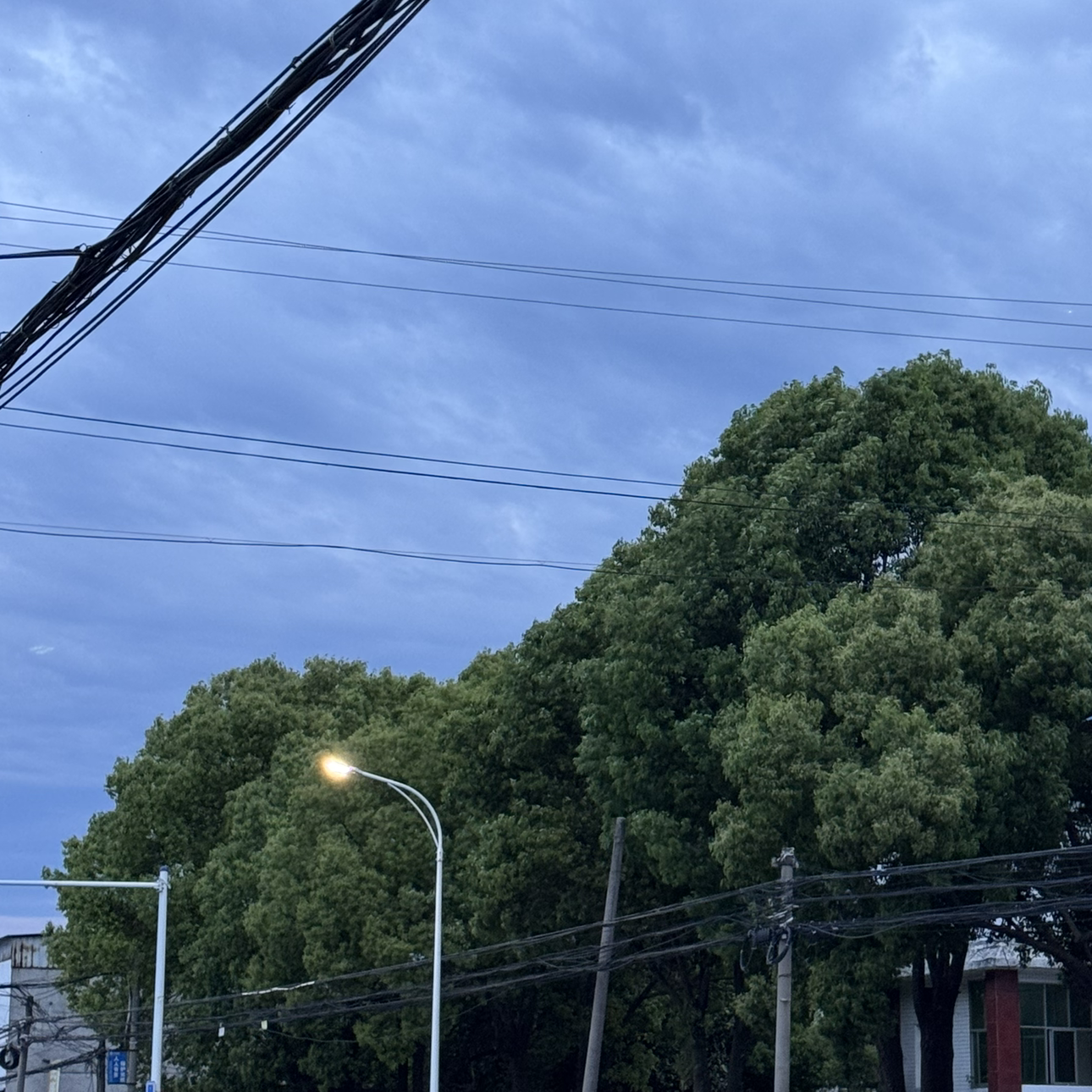 rich哥