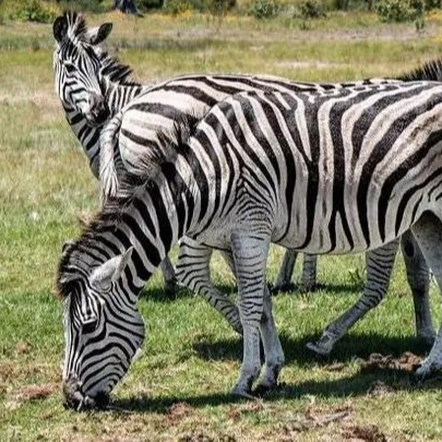 白少华仗剑走天涯