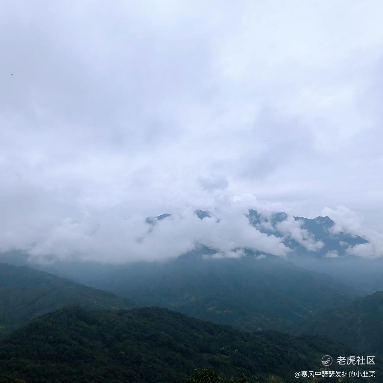 寒风中瑟瑟发抖的小韭菜