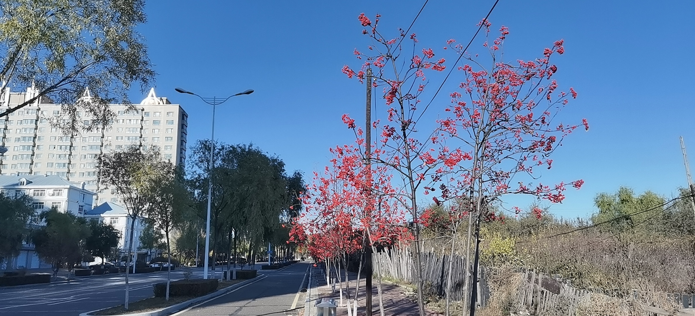 太乙真人的徒弟