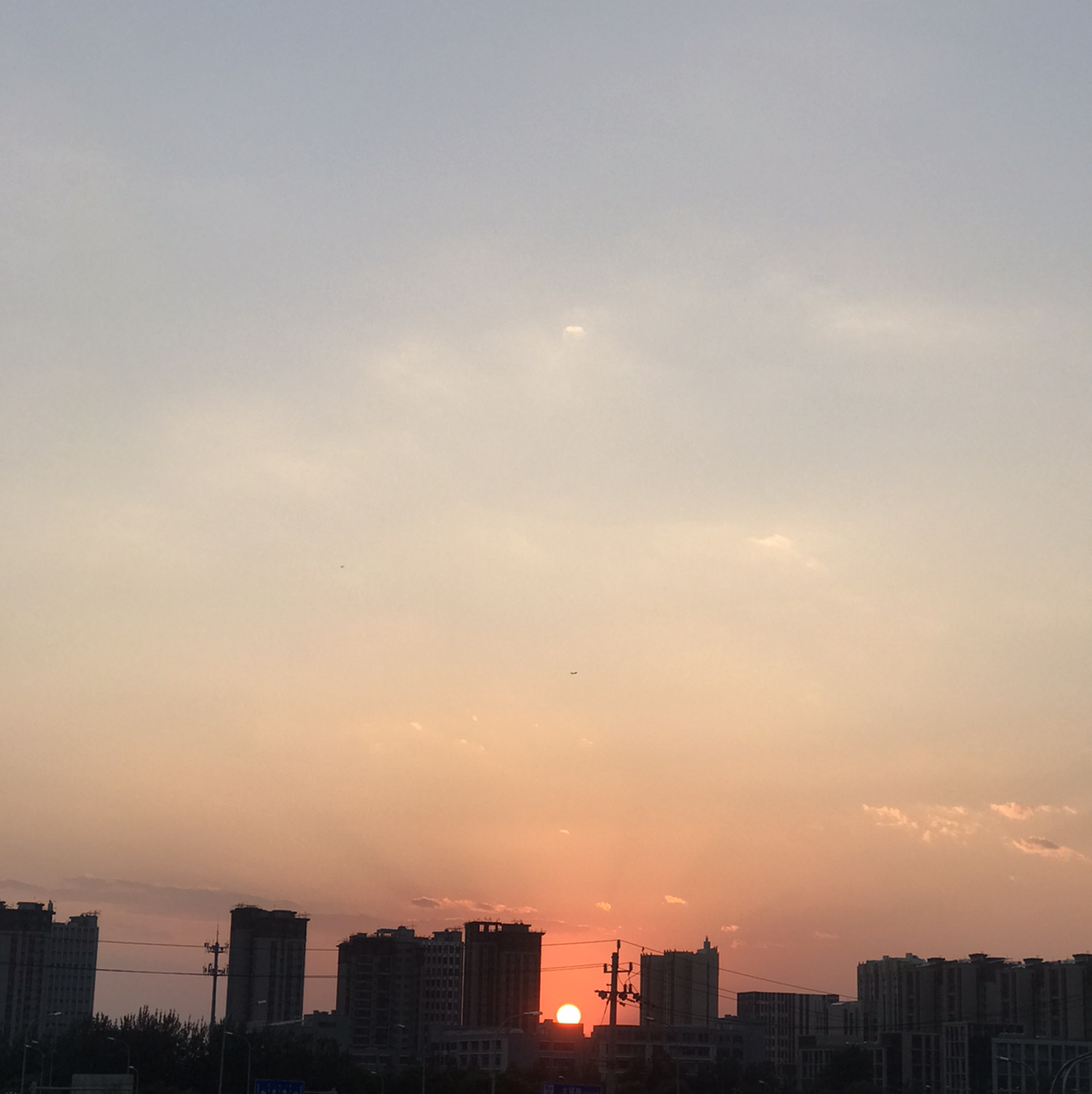 盛夏院角的茉莉