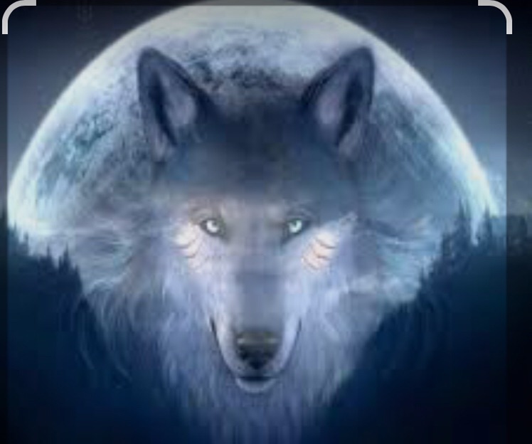 Nightwolf13