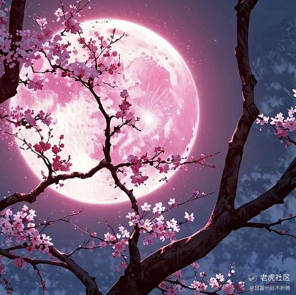 日富一日不折腾