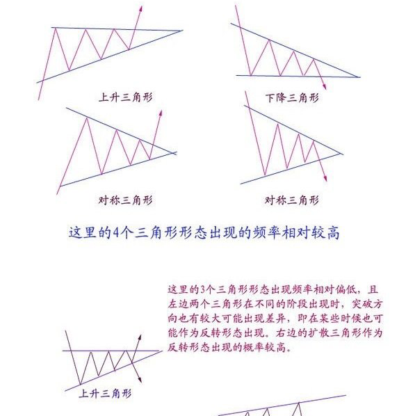 野水晶体