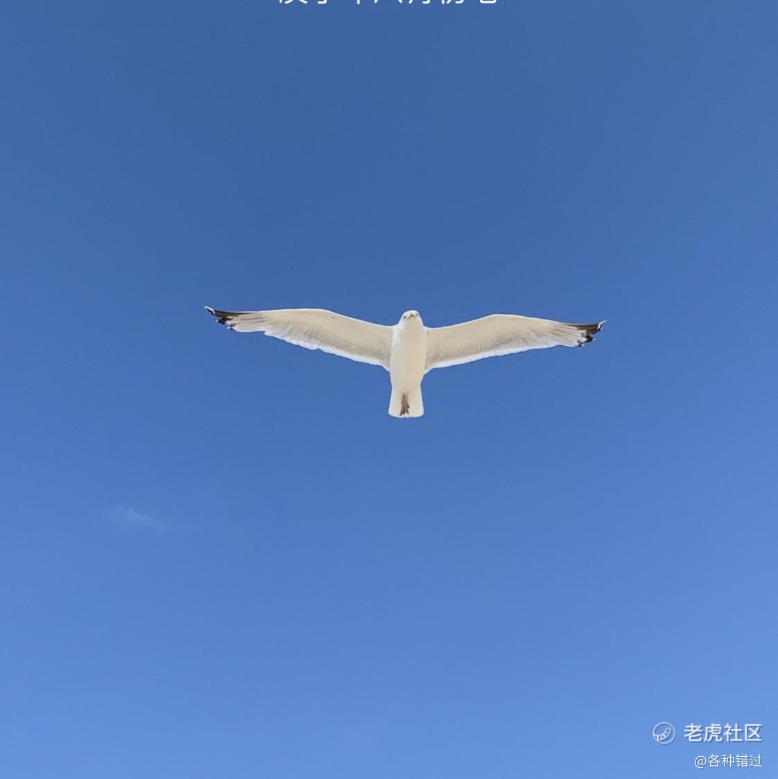 各种错过