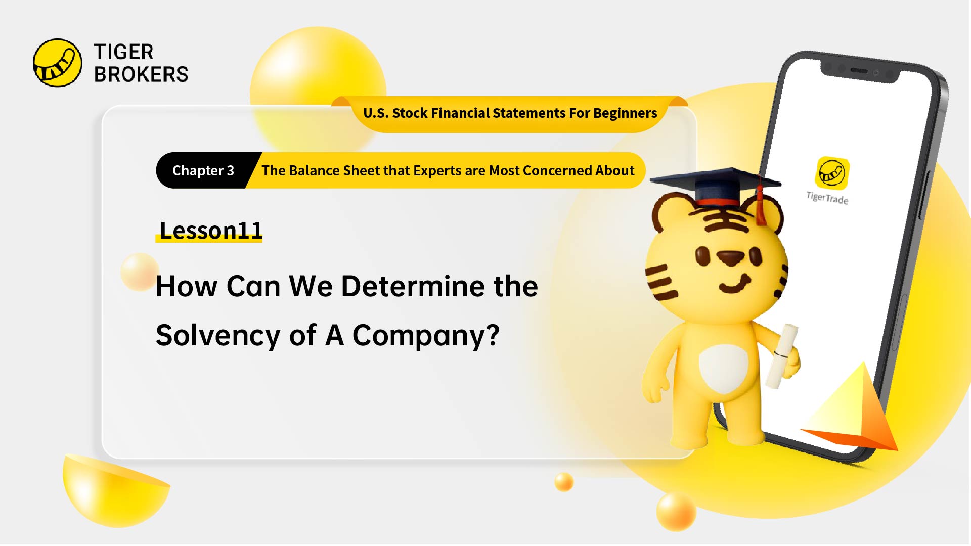 Lesson 11:  How can we determine the solvency of a company?
