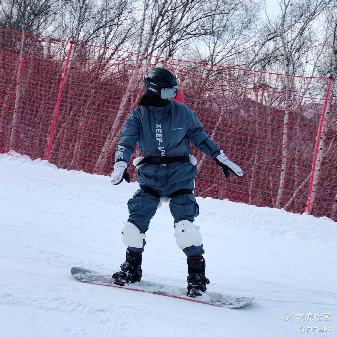 冉冉升起的新韭菜