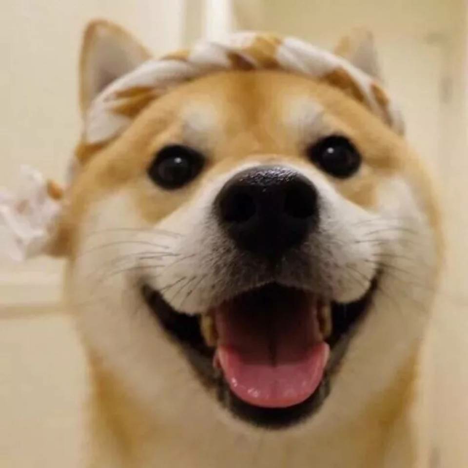 飞科剃须刀