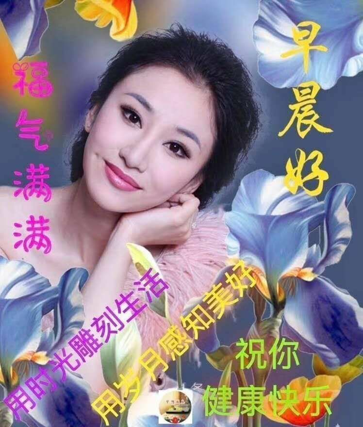 虎粉筱竹