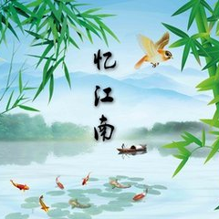 耐心等机会we
