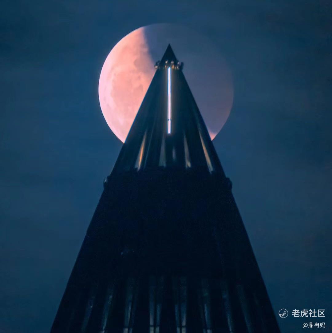虎友新手