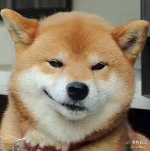 特菲巴来了